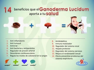 beneficios que el
aporta a tu

1.
2.
3.
4.
5.
6.
7.

Anti inflamatorio
Anti tumoral
Antiviral
Anti bacterias y antiparásitos
Regulador de presión arterial
Desordenes cardiovasculares
Regula los niveles de colesterol en la sangre

8.
9.
10.
11.
12.
13.
14.

Antidiabético
Inmuno modulador
Regulador del sistema renal
Hepato protector
Regulador del sistema nervioso
Mejora el rendimiento sexual
Efecto preventivo problemas del
sistema respiratorio.

 