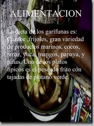 ALIMENTACION La dieta de los garífunas es:  Cazabe ,frijoles, gran variedad de productos marinos, cocos, arroz, yuca, mangos, papaya, y piñas. Uno de los platos típicos es el pescado frito con tajadas de plátano verde. 