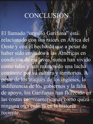 CONCLUSION El llamado “orgullo Garifuna” está relacionado con sus raíces en África del Oeste y con el hecho de que a pesar de haber sido enviados a las Américas en condición de esclavos, nunca han vivido como tales y han mantenido una lucha constante por su cultura y territorios. A pesar de los ataques de los ingleses, la indiferencia de los gobiernos y la falta de apoyo, los Garífunas han florecido en las costas centroamericanas como quizá ninguna otra cultura en la historia reciente. 