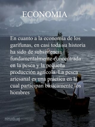 ECONOMIA En cuanto a la economía de los garífunas, en casi toda su historia ha sido de subsistencia fundamentalmente concentrada en la pesca y la pequeña producción agrícola. La pesca artesanal es una práctica en la cual participan básicamente los hombres . 