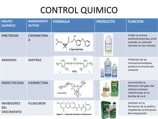 CONTROL QUIMICO
GRUPO
QUIMICO
INGREDIENTE
ACTIVO
FORMULA PRODUCTO FUNCION
PIRETROIDE CIPERMETRIN
A
Inhibir la enzima
acetilcolinesterasa, prod
uciendo un estimulo
nervioso en los insectos
AMIDINAS AMITRAZ Inhibición de las
monoaminooxidasas
produce la muerte por
contacto
ENDECTOCIDAS IVERMECTINA Incrementan la
liberacion del gaba del
sistema nervioso
intenfiriendo en la
bomba de na-k
INHIBIDORES
DEL
CRECIMIENTO
FLUAZURON Interferir en la
formacion de la quitina,
impidiendo la formacion
del ectoparasito
 