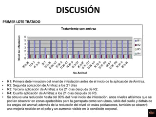 DISCUSIÓN
PRIMER LOTE TRATADO
Tratamiento con amitraz
0
1
2
3
4
5
6
50
2-28
12
9-341
3-31
29
752
0-7813
65-N
713
92-813
24-4714
86-955
3-D745
6-9713
71-D
713
64-N
714
72-912
71-06
02
5-712
86-D
614
91-920
3-44
No Animal
Niveldeinfestacion
R1
R2
R3
R4
• R1: Primera determinación del nivel de infestación antes de el inicio de la aplicación de Amitraz.
• R2: Segunda aplicación de Amitraz a los 21 días
• R3: Tercera aplicación de Amitraz a los 21 días después de R2.
• R4: Cuarta aplicación de Amitraz a los 21 días después de R3.
• Se obtuvo una reducción hasta del 90% del nivel inicial de infestación, unos niveles altísimos que se
podían observar en zonas apetecibles para la garrapata como son ubres, tabla del cuello y detrás de
las orejas del animal; además de la reducción del nivel de estas poblaciones, también se observó
una mejoría notable en el pelo y un aumento visible en la condición corporal.
 