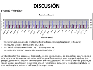 DISCUSIÓN
• R1: Primera determinación del nivel de infestación antes de el inicio de la aplicación de Fluazuron.
• R2: Segunda aplicación de Fluazuron a los 21 días.
• R3: Tercera aplicación de Fluazuron a los 21 días después de R2.
• R4: Cuarta aplicación de Fluazuron a los 21 días después de R3.
La reducción del nivel de poblaciones de garrapatas con este agente, inhibidor del desarrollo de la garrapata, no se
ve de manera tan rápida como con el Amitraz, debido a que el Fluazuron actúa sobre la progenie siguiente de la
garrapata, por lo tanto la población va disminuyendo de manera gradual; una vez se realizó la tercera aplicación, se
notaron cambios radicales sobre el nivel inicial antes de realizar alguna aplicación. La ventaja de este producto es
que a mediano y largo plazo reduce el desarrollo de las garrapatas
Tratamiento con Fluazuron
0
1
2
3
4
5
6
2722-94
1069-N9
973-53
1185-06
1041-95
911
628-98
796
2704-94
1205-17
616-88
1178-07JARAQUIEL
022-57
016-47
366-78
144-66
926
742
790
383-18
981-5
1247-37
1076-N5
1114-36
Identificacion del animal
Niveldeinfestacion
R1
R2
R3
R4
Segundo lote tratado.
 