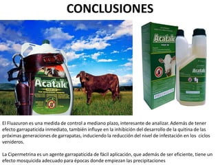 CONCLUSIONES
El Fluazuron es una medida de control a mediano plazo, interesante de analizar. Además de tener
efecto garrapaticida inmediato, también influye en la inhibición del desarrollo de la quitina de las
próximas generaciones de garrapatas, induciendo la reducción del nivel de infestación en los ciclos
venideros.
La Cipermetrina es un agente garrapaticida de fácil aplicación, que además de ser eficiente, tiene un
efecto mosquicida adecuado para épocas donde empiezan las precipitaciones
 