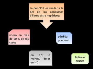 La del CCH, es similar a la
                 del de los conductos
                 biliares extra hepáticos:




íctero en más                          pérdida
de 90 % de los                         ponderal
casos



                 en    1/3  o
                 menos, dolor                     fiebre o
                 en HD                             prurito
 
