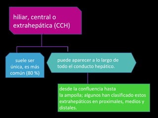 hiliar, central o
 extrahepática (CCH)



  suele ser     puede aparecer a lo largo de
única, es más   todo el conducto hepático.
común (80 %)


                desde la confluencia hasta
                la ampolla; algunos han clasificado estos
                extrahepáticos en proximales, medios y
                distales.
 
