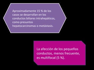 Aproximadamente 15 % de los
casos se desarrollan en los
conductos biliares intrahepáticos,
como presuntos
hepatocarcinomas o metástasis.




                   La afección de los pequeños
                   conductos, menos frecuente,
                   es multifocal (5 %).
 