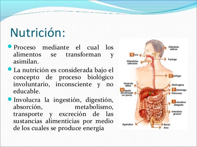 Presentacion gastronomi acriss