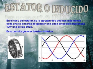 ESTATOR O INDUCIDOEn el caso del estator, se le agregan dos bobinas más donde cada una se encarga de generar una onda sinusoidal desfasada 120º una de las otras.Esto permite generar tensión trifásica.