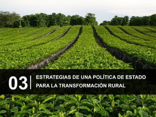 MISIÓN RURAL: PARA TRANSFORMAR EL CAMPO COLOMBIANO