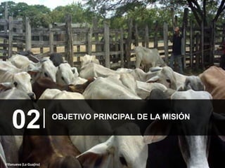 MISIÓN RURAL: PARA TRANSFORMAR EL CAMPO COLOMBIANO