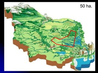 Valoración de impactos
(las manos en la masa):
50 ha.
 
