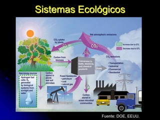 Sistemas Ecológicos
Fuente: DOE, EEUU.
 
