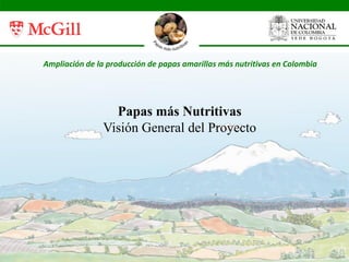 Ampliación de la producción de papas amarillas más nutritivas en Colombia
Papas más Nutritivas
Visión General del Proyecto
 