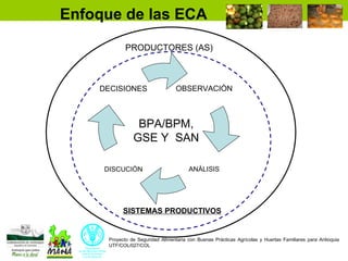Enfoque integral de lucha contra el hambre y la pobreza 