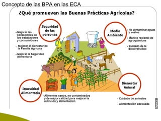 Enfoque integral de lucha contra el hambre y la pobreza 