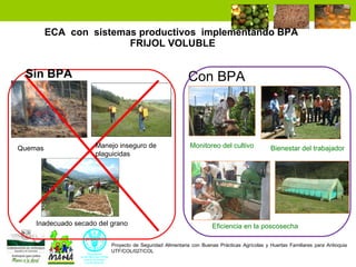 Enfoque integral de lucha contra el hambre y la pobreza 