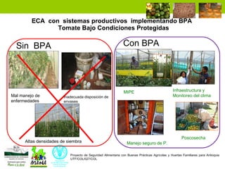 Enfoque integral de lucha contra el hambre y la pobreza 