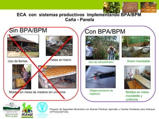 Enfoque integral de lucha contra el hambre y la pobreza 