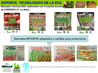 Enfoque integral de lucha contra el hambre y la pobreza 