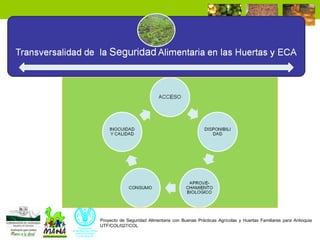 Enfoque integral de lucha contra el hambre y la pobreza 