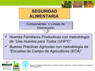 Enfoque integral de lucha contra el hambre y la pobreza 