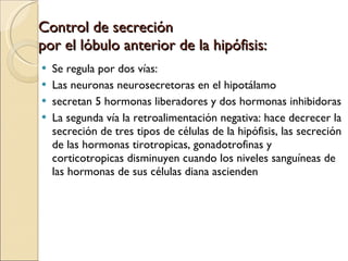 Control de secreción  por el lóbulo anterior de la hipófisis: Se regula por dos vías:  Las neuronas neurosecretoras en el hipotálamo  secretan 5 hormonas liberadores y dos hormonas inhibidoras La segunda vía la retroalimentación negativa: hace decrecer la secreción de tres tipos de células de la hipófisis, las secreción de las hormonas tirotropicas, gonadotrofinas y corticotropicas disminuyen cuando los niveles sanguíneas de las hormonas de sus células diana ascienden 