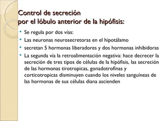 Control de secreción
por el lóbulo anterior de la hipófisis:
   Se regula por dos vías:
   Las neuronas neurosecretoras en el hipotálamo
   secretan 5 hormonas liberadores y dos hormonas inhibidoras
   La segunda vía la retroalimentación negativa: hace decrecer la
    secreción de tres tipos de células de la hipófisis, las secreción
    de las hormonas tirotropicas, gonadotrofinas y
    corticotropicas disminuyen cuando los niveles sanguíneas de
    las hormonas de sus células diana ascienden
 
