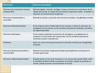Hormonas                         Acciones principales

Hormona de crecimiento humano,   Estimula hígado, musculo, cartílago y hueso, promueve el crecimiento de las
somatotrofina                    células del cuerpo, la síntesis de la proteína la reparación tisular , la lipolisis, la
                                 elevación de concentración de glucosa
Hormona tiroestimulante o        Estimula la síntesis y secreción de hormonas tiroideas o las glándulas tiroides
tirotrofina


Hormona foliculoestimulante      En las mujeres inicia el desarrollo de los ovocitos e induce la secreción de
                                 estrógenos en los ovarios, en los hombres estimula los testículos a producir
                                 los espermatozoides
Hormona luteinizante             En las mujeres estimulan la secreción de estrógenos y progesterona, la
                                 ovulación y la formación del cuerpo lúteo. En los hombres estimula los
                                 testículos producir testosterona
Prolactina                       Junto con otras hormonas promueve la secreción de leche por las glándulas
                                 mamarias


Hormona adrenocorticotrofica o   Estimula la secreción de glucocorticoides (principalmente cortisol) por la
corticotrofina                   corteza suprarrenal


Hormona melanocitoestimulante    El papel exacto en los seres humanos no se conoce pero puede influir sobre
                                 la actividad cerebral cuando se presenta en exceso; cuando se presenta en
                                 exceso, puede provocar oscurecimiento en la piel
 