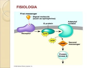 FISIOLOGIA
 