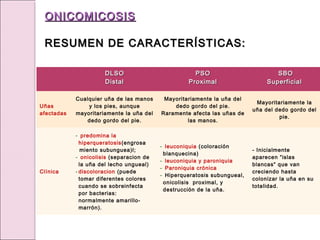 DLSO
DLSO
Distal
Distal
PSO
PSO
Proximal
Proximal
SBO
SBO
Superficial
Superficial
Uñas
afectadas
Cualquier uña de las manos
y los pies, aunque
mayoritariamente la uña del
dedo gordo del pie.
Mayoritariamente la uña del
dedo gordo del pie.
Raramente afecta las uñas de
las manos.
Mayoritariamente la
uña del dedo gordo del
pie.
Clínica
- predomina la
hiperqueratosis(engrosa
miento subunguea)l;
- onicolisis (separacion de
la uña del lecho ungueal)
- discoloracion (puede
tomar diferentes colores
cuando se sobreinfecta
por bacterias:
normalmente amarillo-
marrón).
- leuconiquia (coloración
blanquecina)
- leuconiquia y paroniquia
- Paroniquia crónica
- Hiperqueratosis subungueal,
onicolisis proximal, y
destrucción de la uña.
- Inicialmente
aparecen “islas
blancas“ que van
creciendo hasta
colonizar la uña en su
totalidad.
ONICOMICOSIS
ONICOMICOSIS
RESUMEN DE CARACTERÍSTICAS:
RESUMEN DE CARACTERÍSTICAS:
 