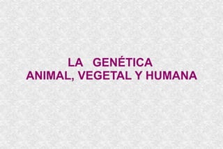 LA  GENÉTICA   ANIMAL, VEGETAL Y HUMANA  