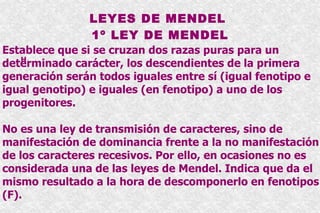 Genotipo Es el contenido especifico de un individuo. Se define como el contenido de genes de un organismo.  Los médicos hablan aveces de el genotipo de un cáncer especifico de una parte del cuerpo, separando al enfermedad del enfermo. El genotipo es toda la información contenida en los genes o de un gen especifico y en individuos ploriploides es a la combinación de los alelos que porta un individuo básico. Un cambio en un gen provoca un cambio observable en un organismo llamado  fenotipo.   