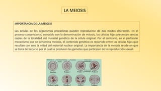 IMPORTANCIA DE LA MEIOSIS
Las células de los organismos procariotas pueden reproducirse de dos modos diferentes. En el
proceso convencional, conocido con la denominación de mitosis, las células hijas presentan sendas
copias de la totalidad del material genético de la célula original. Por el contrario, en el particular
mecanismo que se denomina meiosis, el contenido genético es repartido entre las células hijas que
resultan con sólo la mitad del material nuclear original. La importancia de la meiosis reside en que
se trata del recurso por el cual se producen las gametas que participan de la reproducción sexual.
LA MEIOSIS
 