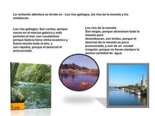 La vertiente atlántica se divide en : Los ríos gallegos, los ríos de la meseta y los
andaluces.
Los ríos gallegos: Son cortos, porque
nacen en el macizo galaico y está
próximo al mar, son caudalosos
porque Galicia tiene clima oceánico y
llueve mucho todo el año, y
son rapidos, porque el desnivel el
pronunciado.

Los ríos de la meseta:
Son largos, porque atraviesan toda la
meseta para
desembocan, son lentos, porque el
desnivel de la meseta es poco
pronunciado, y son de un caudal
irregular, porque no llevan siempre la
misma cantidad de agua.

 