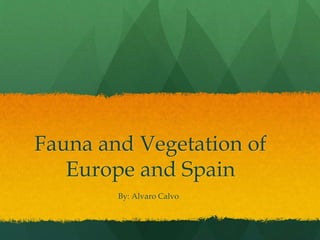 Fauna and Vegetation of
Europe and Spain
By: Alvaro Calvo
 