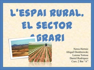 L’espai rural.
  El sector
    agrari
                Nerea Herraiz
          Abigail Dombrowski
               Lorena Tortosa
             Daniel Rodríquez
              Curs: 2 Bat “A”
 