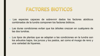o Las especies capaces de sobrevivir dados los factores abióticos
combinados de la tundra componen los factores bióticos.
o Las duras condiciones evitan que los árboles crezcan en cualquiera de
las dos tundras.
o Los tipos de plantas que se adaptan a las condiciones en la tundra son
los arbustos bajos, los juncos y los pastos, así como el musgo de reno y
una variedad de líquenes.
 