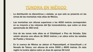 o La distribución es discontinua y aislada, ya que solo se presenta en las
cimas de las montañas más altas de México.
o Las montañas con alturas superiores a los 4000 metros corresponden
en su mayoría a los volcanes del Eje transvolcánico, que cubre un área
aproximada de 360 km2.
o Una de las zonas más altas es el Citlaltépetl o Pico de Orizaba. Este
volcán alcanza una altura de 5610 metros y se ubica entre los estados
de Puebla y Veracruz.
o En la cuenca de México se ubican el Popocatépetl, el Iztaccíhualt y el
Nevado de Toluca, con alturas de entre 5500 y 4600 metros. En esta
región la tundra alpina cubre un área de apenas 50 km2
 