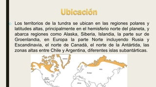 o Los territorios de la tundra se ubican en las regiones polares y
latitudes altas, principalmente en el hemisferio norte del planeta, y
abarca regiones como Alaska, Siberia, Islandia, la parte sur de
Groenlandia, en Europa la parte Norte incluyendo Rusia y
Escandinavia, el norte de Canadá, el norte de la Antártida, las
zonas altas entre Chile y Argentina, diferentes islas subantárticas.
 