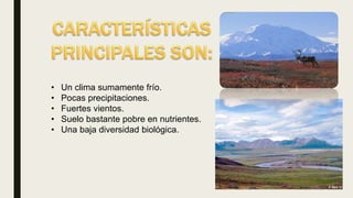 • Un clima sumamente frío.
• Pocas precipitaciones.
• Fuertes vientos.
• Suelo bastante pobre en nutrientes.
• Una baja diversidad biológica.
 
