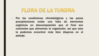 o Por las condiciones climatológicas y las pocas
precipitaciones existe una falta de elementos
orgánicos en descomposición que al final son
nutrientes que alimentan la vegetación, así que esta
la podemos encontrar más bien dispersa en el
paisaje.
 