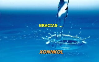GRACIAS … XONNKOL 