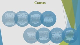 El agua no tratada de
industrias y hogares
en las ciudades. Una
de las industrias más
contaminantes es la
de los hidrocarburos,
que genera
contaminación
permanente con los
frecuentes derrames
de petróleo en el mar.
El uso de plaguicidas,
fertilizantes,
herbicidas, pesticidas
y otros productos
químicos utilizados
en los campos de
cultivo agrícola se
filtran por los canales
subterráneos y llegan
a las redes de
consumo.
La industria
petrolera deposita sus
desechos industriales
en otros cuerpos de
agua, como el lago de
Maracaibo,
contaminando
también el agua
dulce.
La voladura de
oleoductos por parte
de la guerrilla en
Colombia fue hasta
hace poco una fuente
de contaminación de
los ríos venezolanos,
aguas abajo.
Causas
Así mismo, la
deforestación, que
origina la aparición
de sedimentos y
bacterias bajo el
suelo y la
consiguiente
contaminación del
agua subterránea.
Existe un problema
debido al agregarse el
vertido de desechos
industriales y de
productos de la
industria
petroquímica en las
playas y costas.
El uso del agua
como refrigerante de
turbinas
termoeléctricas, pues
los cambios de
temperatura impiden
el desarrollo de la
fauna y flora
acuáticas.
Los turistas y
habitantes de las
zonas costeras son
también causantes de
la contaminación al
depositar envases de
plástico, vidrio y
otros desechos
sólidos en playas y
ríos.
 