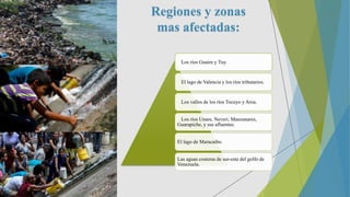 Regiones y zonas
mas afectadas:
Los ríos Guaire y Tuy.
El lago de Valencia y los ríos tributarios.
Los valles de los ríos Tocuyo y Aroa.
Los ríos Unare, Neveri, Manzanares,
Guarapiche, y sus afluentes.
El lago de Maracaibo.
Las aguas costeras de sur-este del golfo de
Venezuela.
 