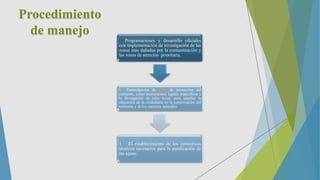Procedimiento
de manejo
Programaciones y desarrollo oficiales
con implementación de investigación de las
zonas mas dañadas por la contaminación y
las zonas de atención prioritaria.
1. Promulgación de leyes de protección del
ambiente, como instrumentos legales específicos y
la divulgación de tales leyes, para ampliar la
educación de la ciudadanía en la conservación del
ambiente y de los recursos naturales.
1. El establecimiento de los correctivos
técnicos necesarios para la purificación de
las aguas.
 