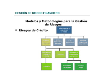 GESTIÓN DE RIESGO FINANCIERO
Modelos y Metodologías para la Gestión
de Riesgos
 Riesgos de Crédito
 