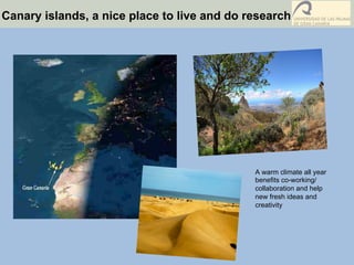 Canary islands, a nice place to live and do research
A warm climate all year
benefits co-working/
collaboration and help
new fresh ideas and
creativity
 