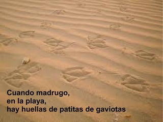 Cuando madrugo,
en la playa,
hay huellas de patitas de gaviotas
 
