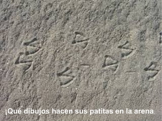 ¡Qué dibujos hacen sus patitas en la arena,
 